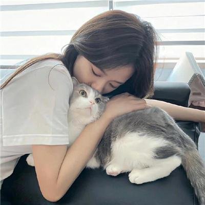 科西嘉兄弟